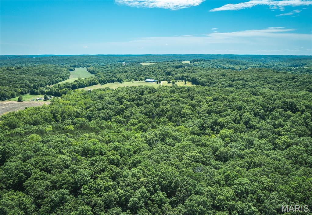 2654 Stronghoener Road Owensville, MO 65066 - Photo 28 of 32