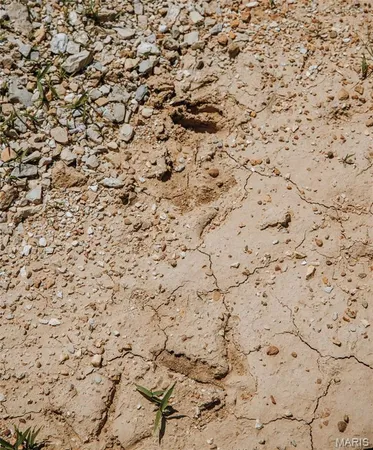 $250,000 | 2654 Stronghoener Road, Owensville, MO 65066