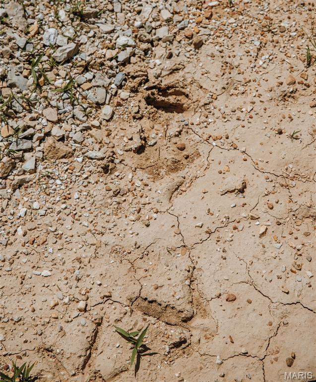 2654 Stronghoener Road Owensville, MO 65066 - Photo 3 of 32