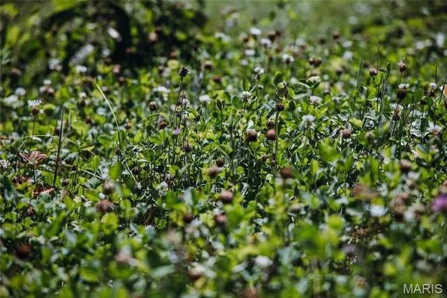 $250,000 | 2654 Stronghoener Road, Owensville, MO 65066