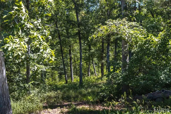 $250,000 | 2654 Stronghoener Road, Owensville, MO 65066