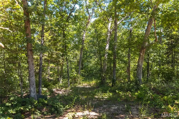 $250,000 | 2654 Stronghoener Road, Owensville, MO 65066