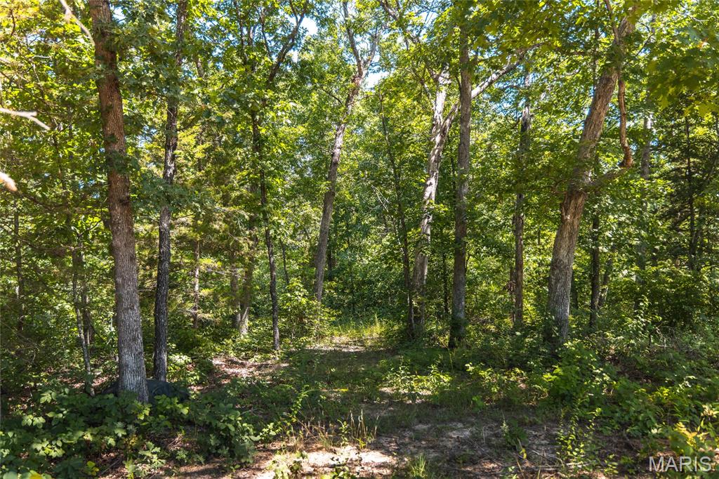 2654 Stronghoener Road Owensville, MO 65066 - Photo 9 of 32