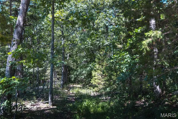 $250,000 | 2654 Stronghoener Road, Owensville, MO 65066