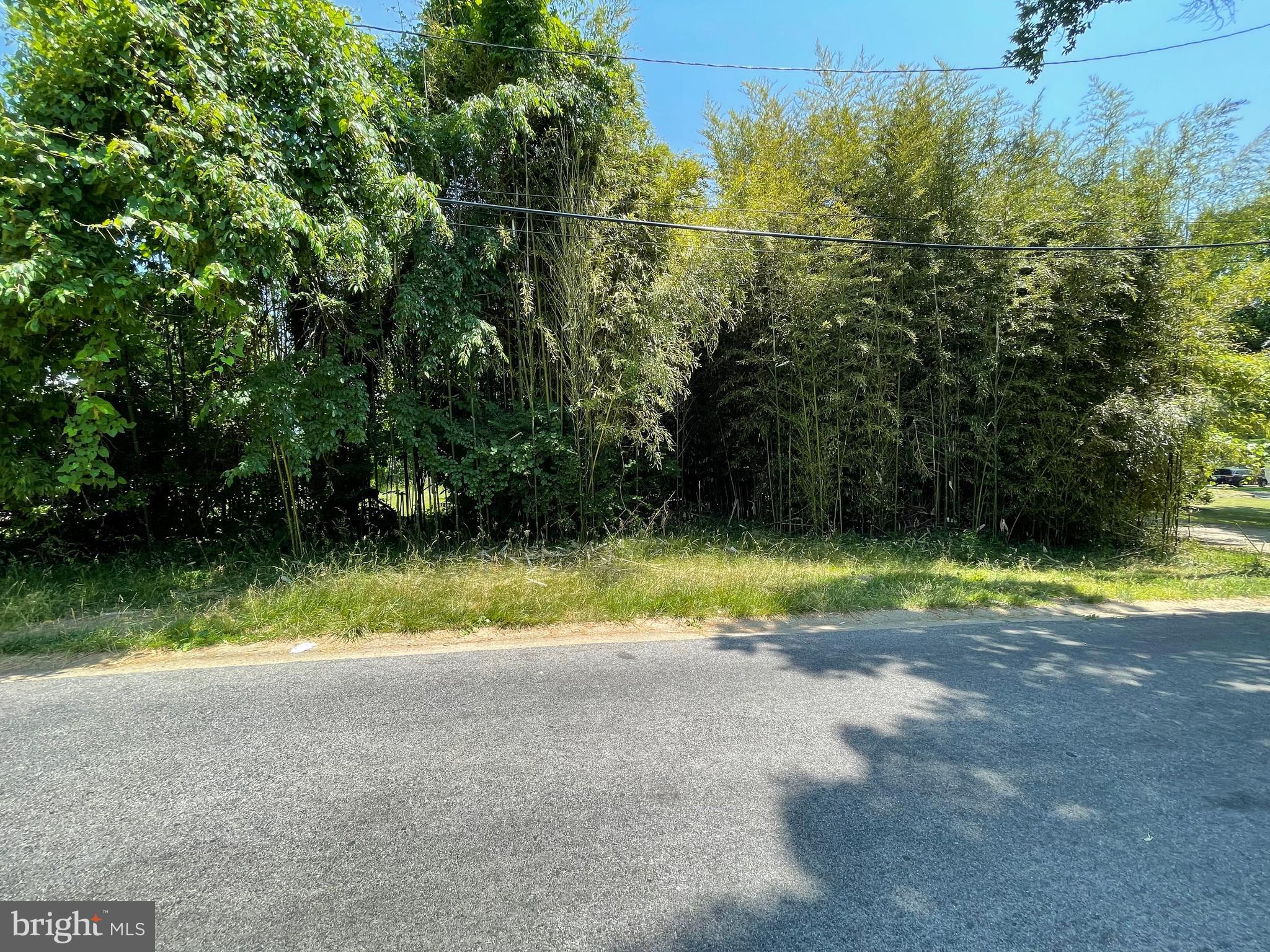 2404 Taney Road Baltimore, MD 21209 - Photo 5 of 6