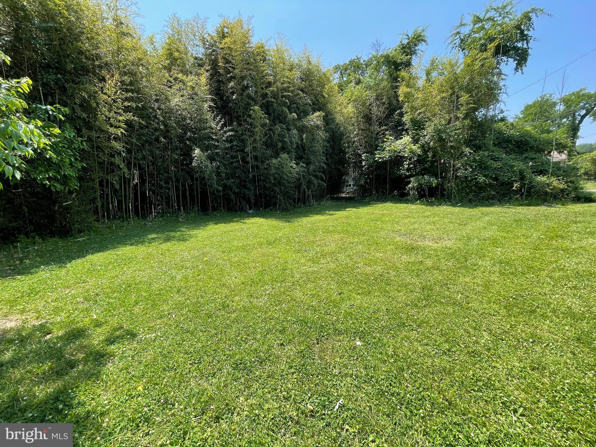 2404 Taney Road Baltimore, MD 21209 - Photo 6 of 6