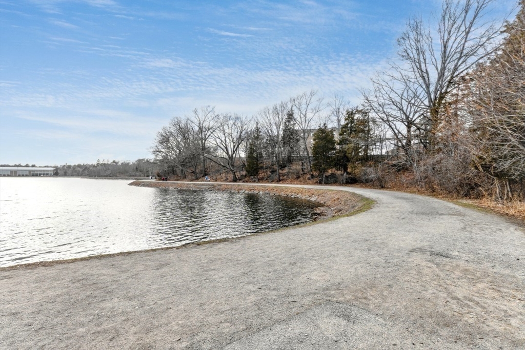 145 Chiswick Road, Unit 6 Boston, MA 02135 - Photo 21 of 23 Gallery Image 21