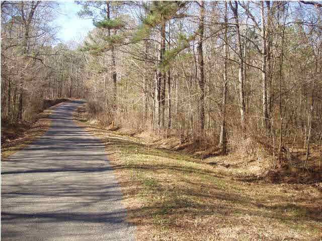 0 Curtis Road Hermanville, MS 39086 - Photo 1 of 1 Photo 1