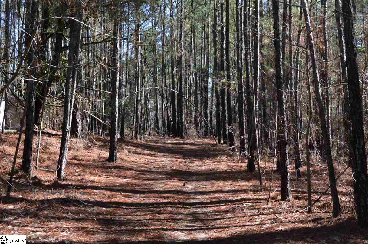 Fort Charlotte Road Mount Carmel, SC 29840 - Photo 2 of 27 Gallery Image 2