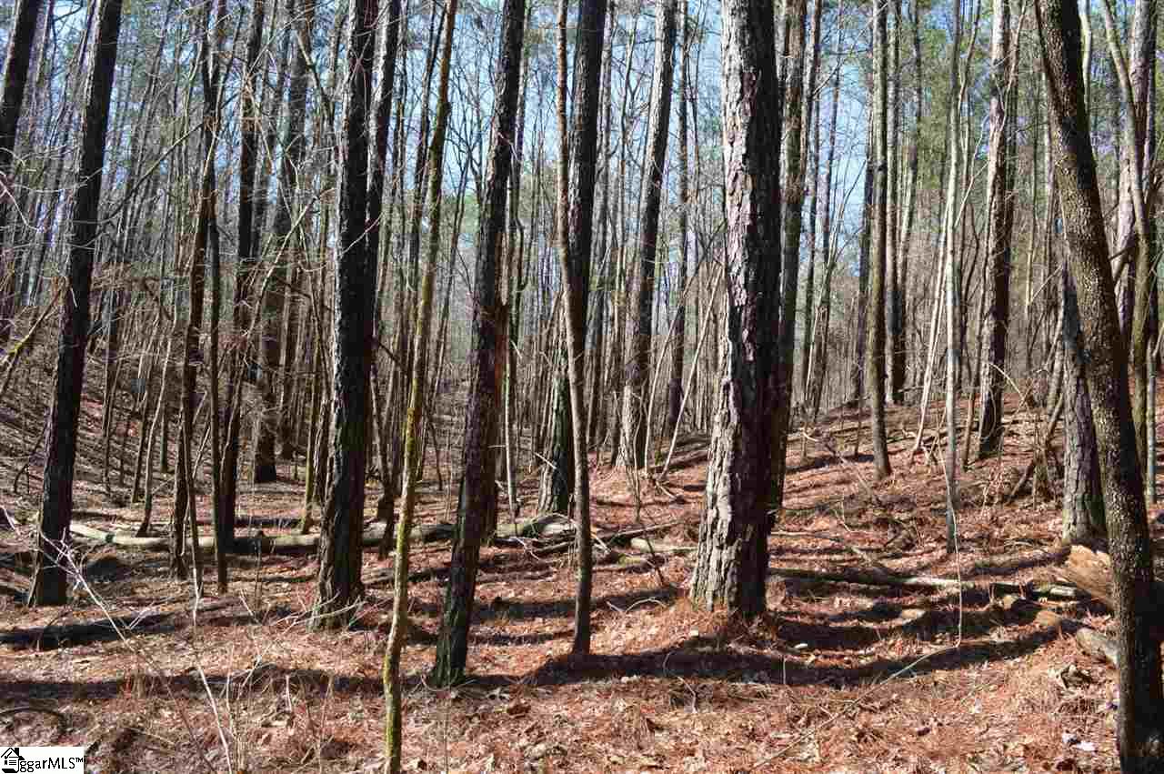 Fort Charlotte Road Mount Carmel, SC 29840 - Photo 4 of 27 Gallery Image 4