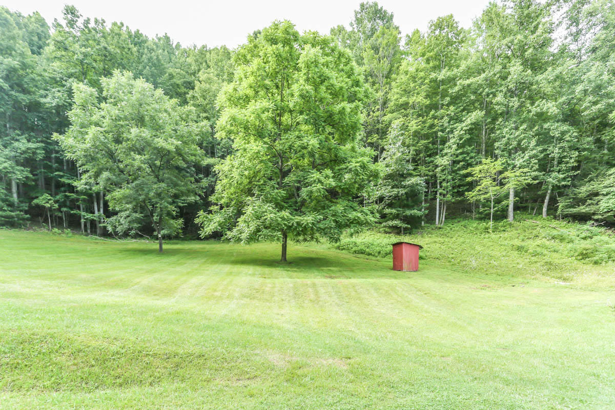 2910 Scott Road Hiwassee, VA 24347 - Photo 40 of 48 DGA_8389