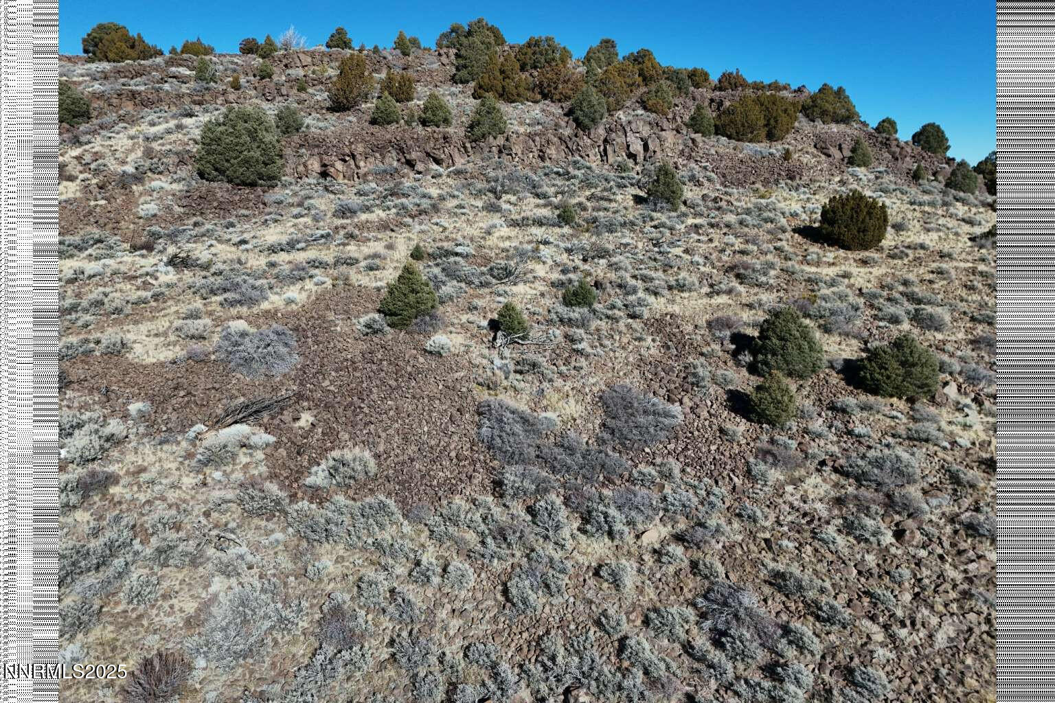 3180 Cartwright Road Reno, NV 89521 - Photo 19 of 19 a view of a dry field covered with snow