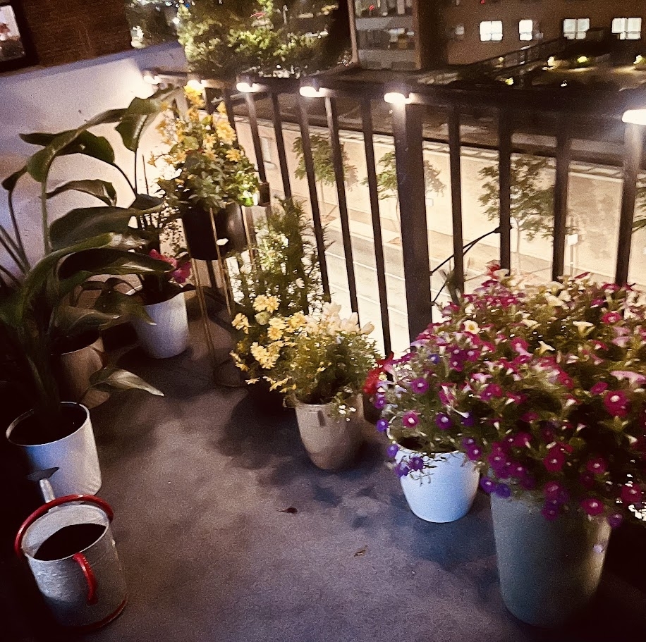 3150 North Sheridan Road, Unit 5A Chicago, IL 60657 - Photo 12 of 34 a room with lots of flowers and flowers