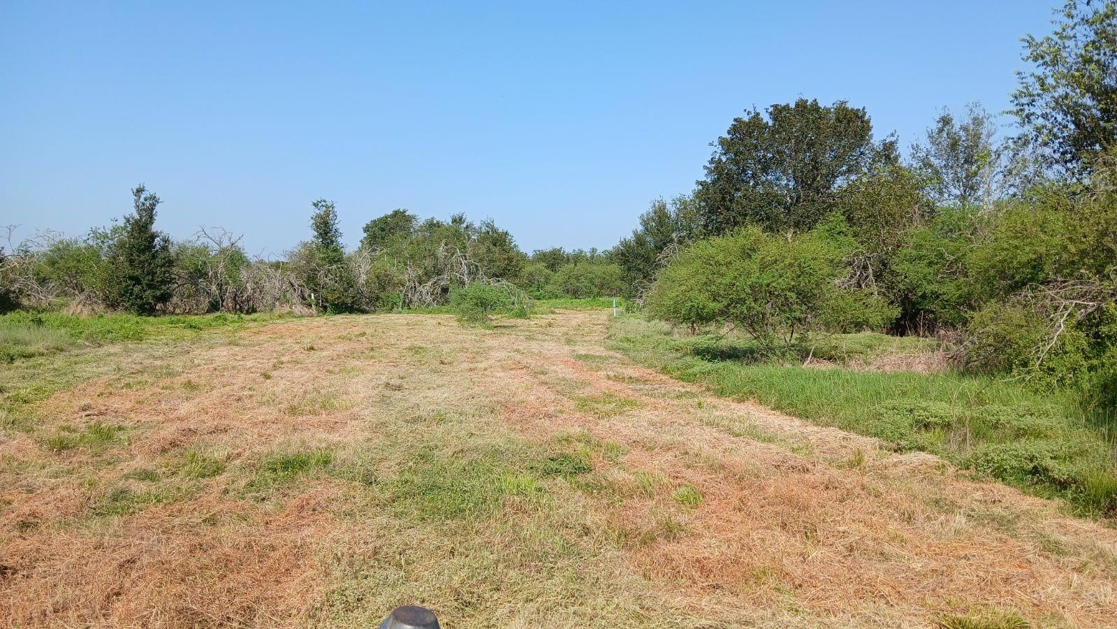 40485 Mt Zion Road Pattison, TX 77423 - Photo 1 of 4 a view of a field with trees in the background