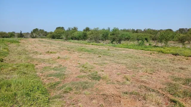 a view of a field with trees in the background