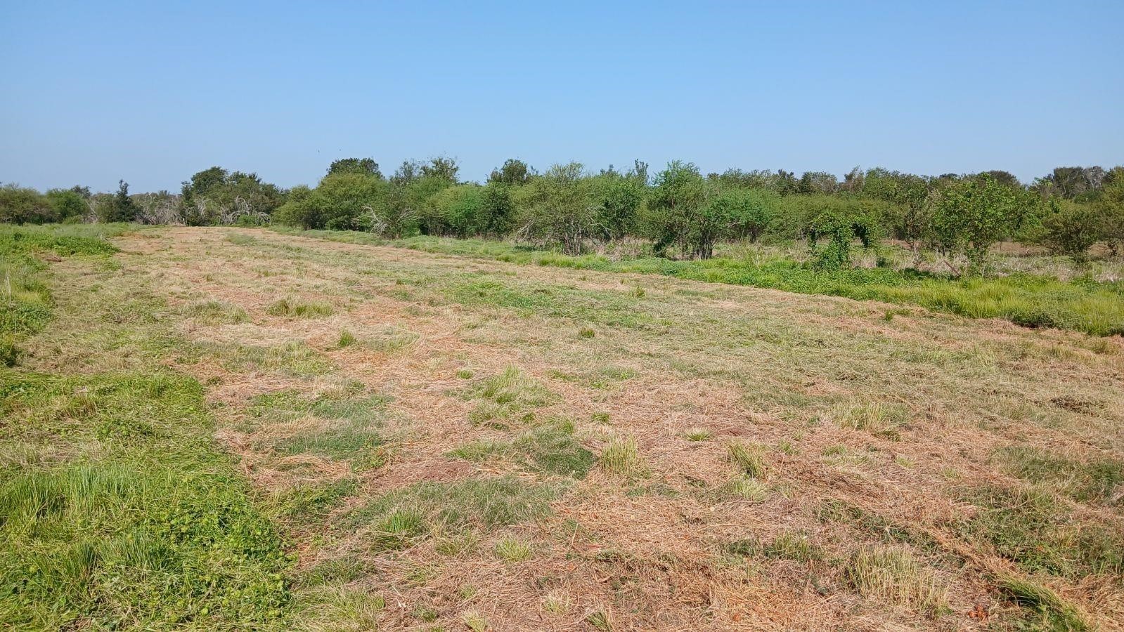 40485 Mt Zion Road Pattison, TX 77423 - Photo 3 of 4 a view of a field with trees in the background