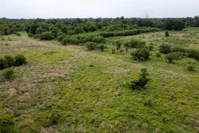 a view of a lush green forest with trees and some houses