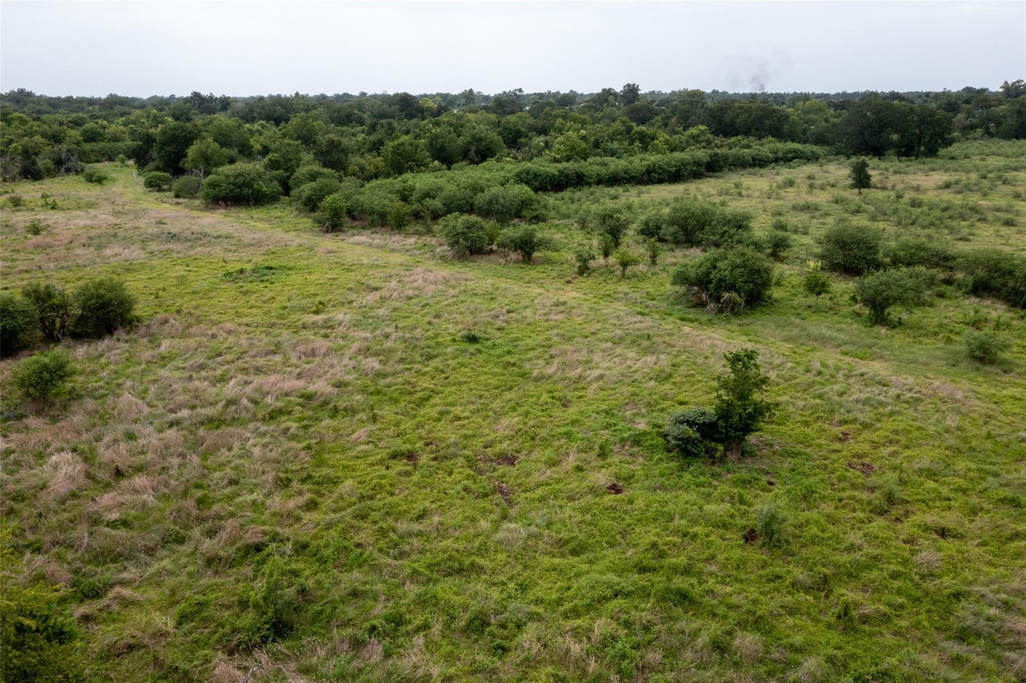 40485 Mt Zion Road Pattison, TX 77423 - Photo 4 of 4 a view of a lush green forest with trees and some houses