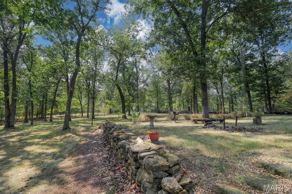 1254 Rue Riviera Bonne Terre, MO 63628 - Photo 31 of 34 Gallery Image 31
