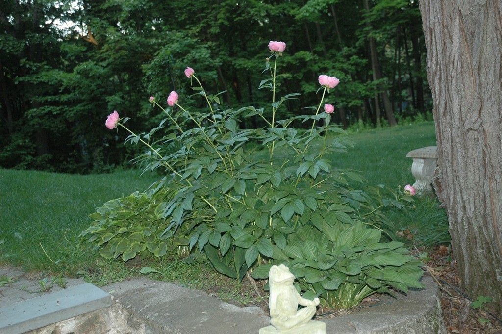 53 Silver Hill Road Concord, MA 01742 - Photo 26 of 28 Gallery Image 26
