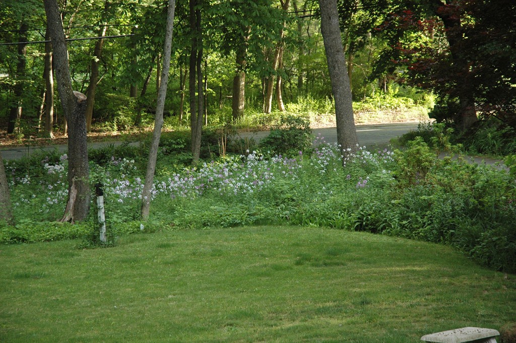 53 Silver Hill Road Concord, MA 01742 - Photo 27 of 28 Gallery Image 27