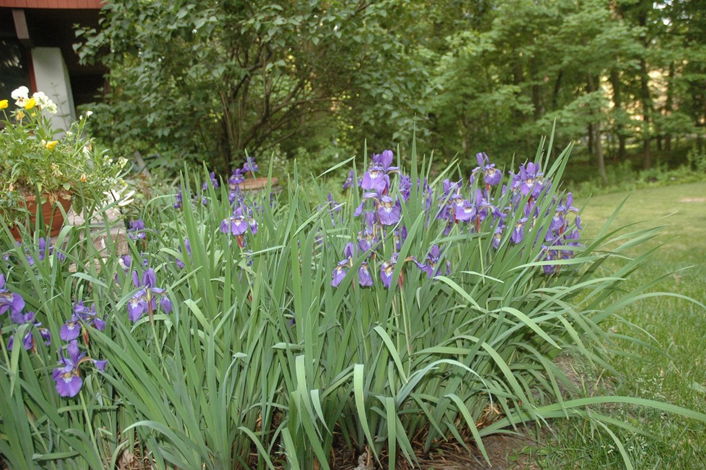 53 Silver Hill Road Concord, MA 01742 - Photo 28 of 28 Gallery Image 28