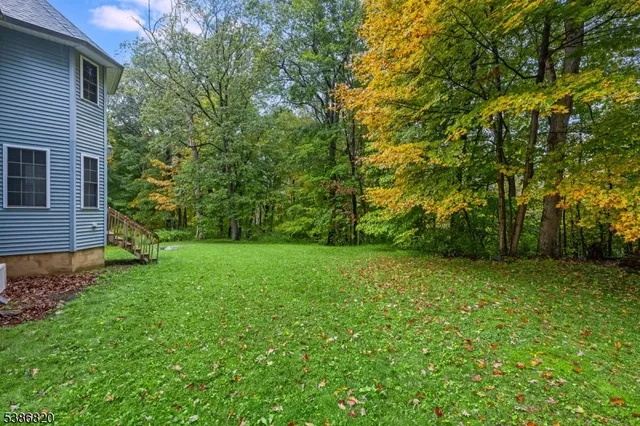 a view of a yard with a trees
