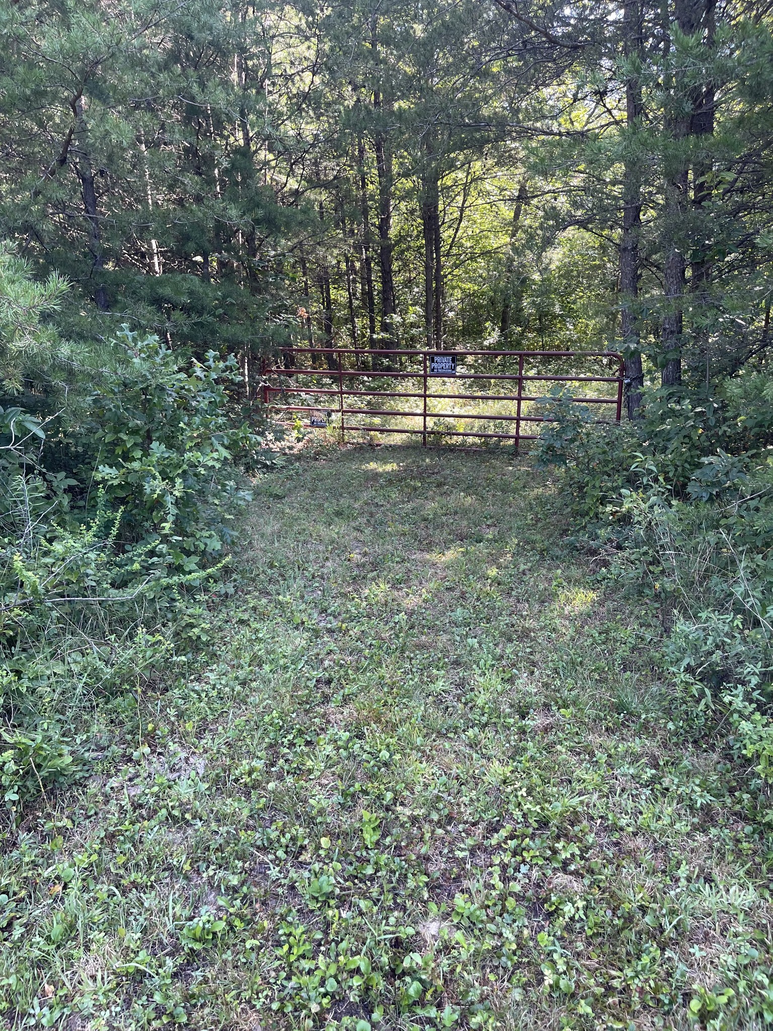 0 Turkey Track Road Altamont, TN 37301 - Photo 1 of 14 Gallery Image 1