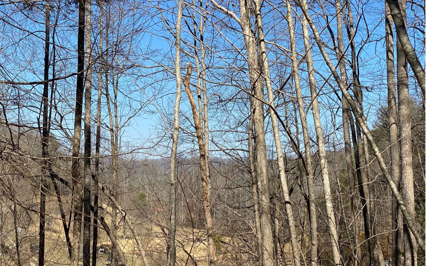 120 Briar Cove Road Morganton, GA 30560 - Photo 3 of 4 Additional View