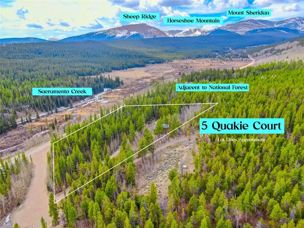 $667,000 | 5 Quakie Court, Fairplay, CO 80440