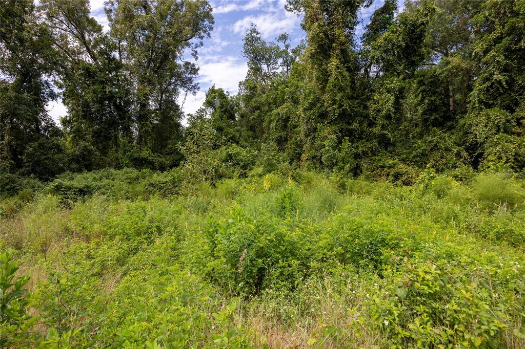 131 Riley Lake Drive Hawthorne, FL 32640 - Photo 13 of 80