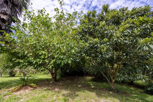 $649,000 | 131 Riley Lake Drive, Hawthorne, FL 32640