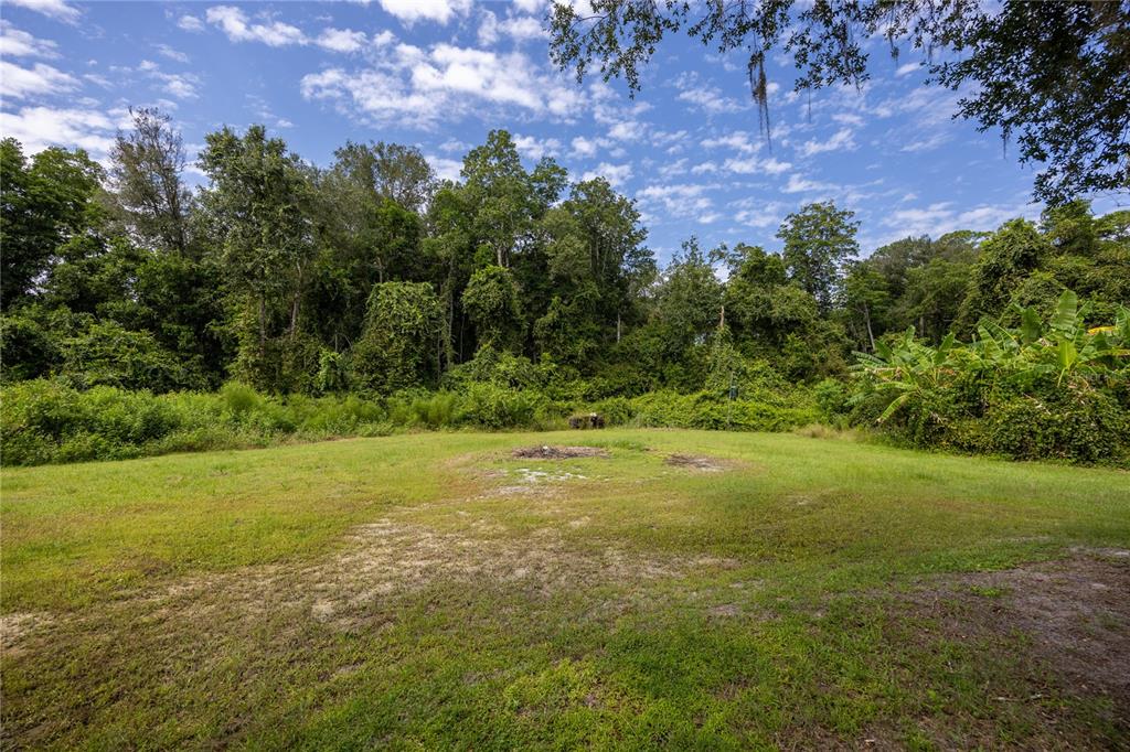 131 Riley Lake Drive Hawthorne, FL 32640 - Photo 44 of 80