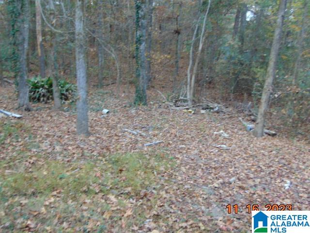 70 County Road 772 Montevallo, AL 35115 - Photo 2 of 27