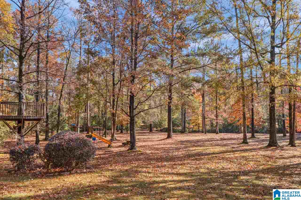 4512 Little Ridge Drive Birmingham, AL 35242 - Photo 9 of 46