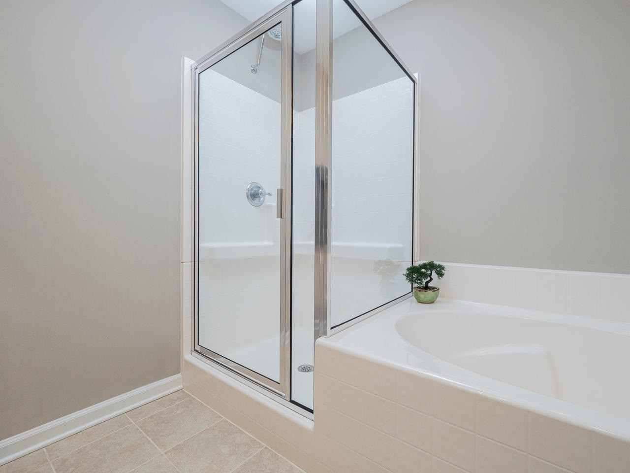 1001 Ileagnes Road Raleigh, NC 27603 - Photo 16 of 26 Master Walk-in Shower