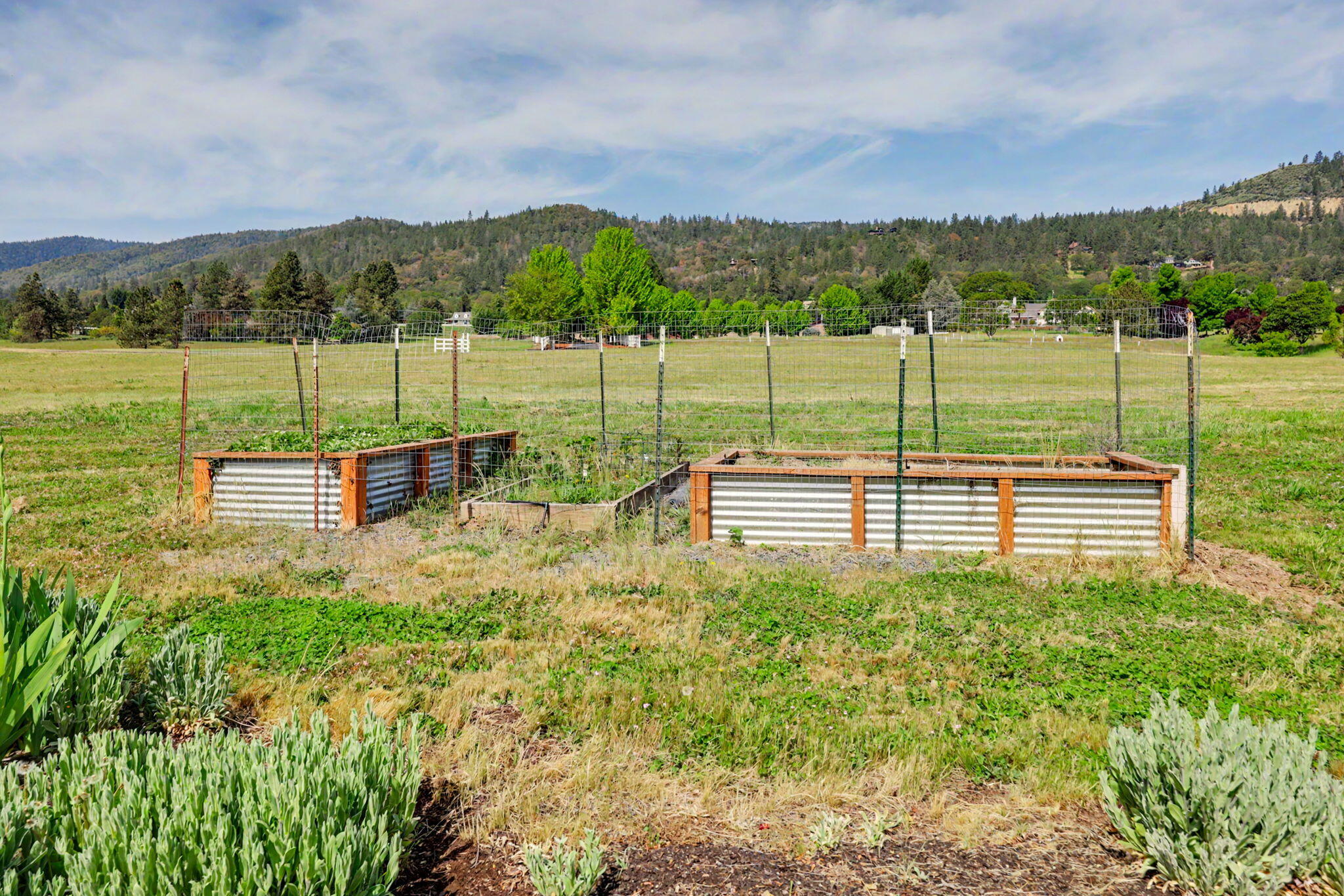 983 Old Stage Road Central Point, OR 97502 - Photo 53 of 65 53