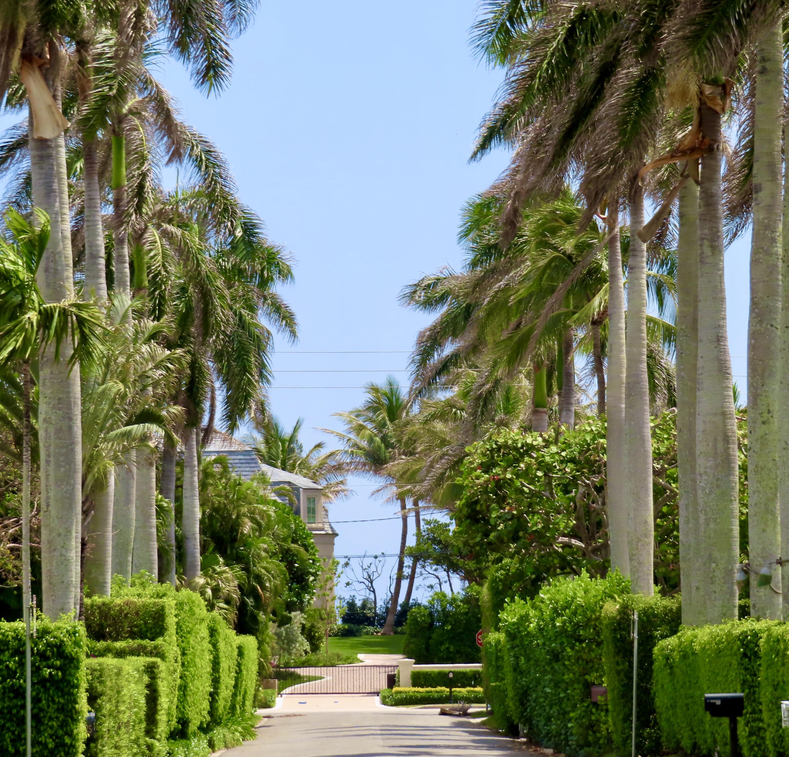 241 List Road Palm Beach, FL 33480 - Photo 8 of 62 List Road