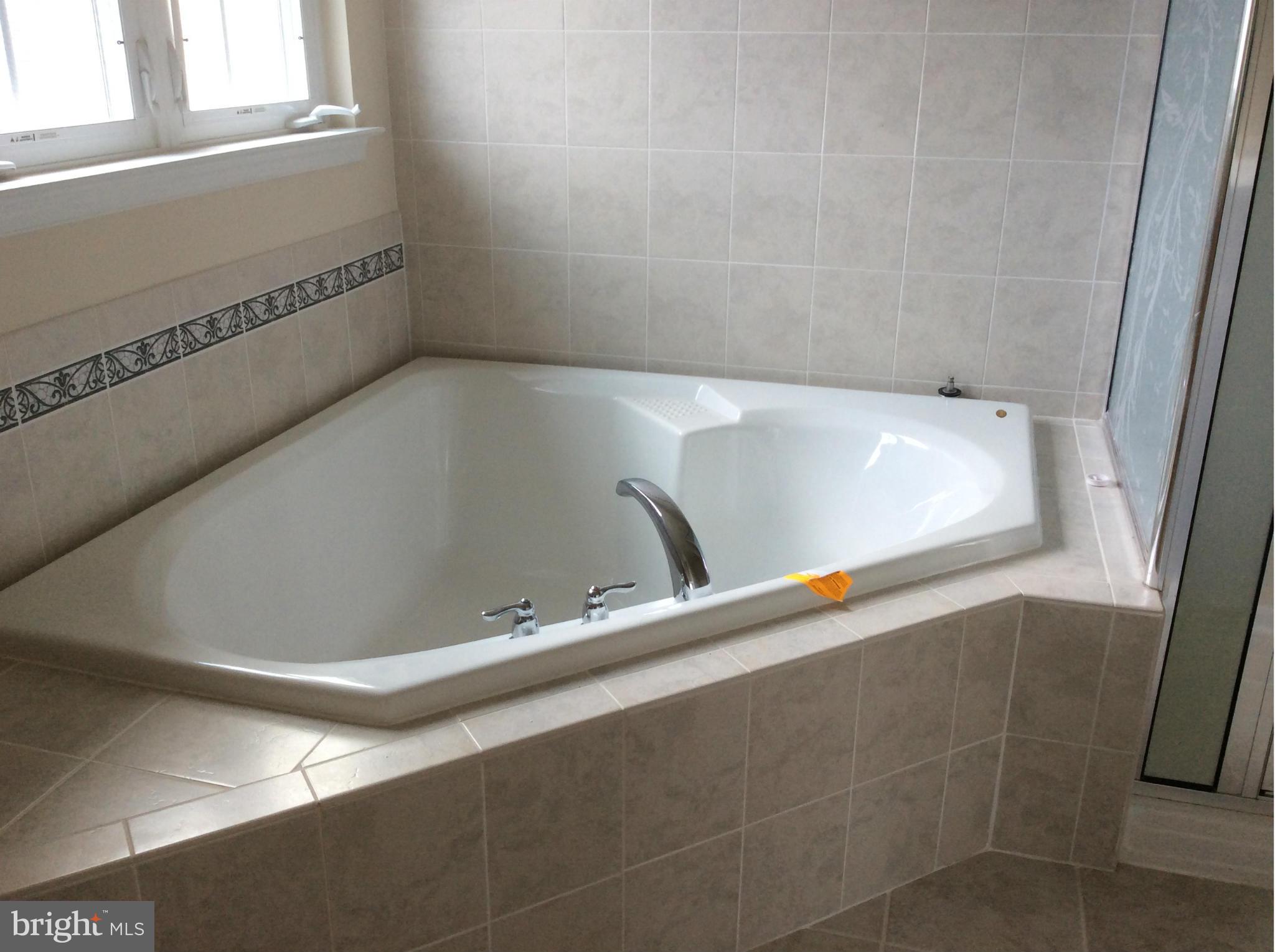 2106 Caisson Road Frederick, MD 21702 - Photo 16 of 20 Bath (Master)