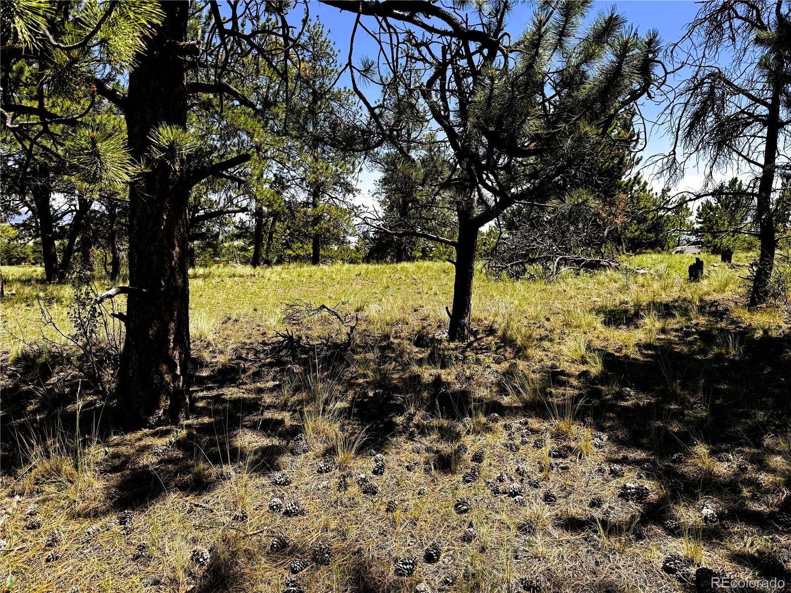 127 Boulder Road Hartsel, CO 80449 - Photo 29 of 34 Gallery Image 29