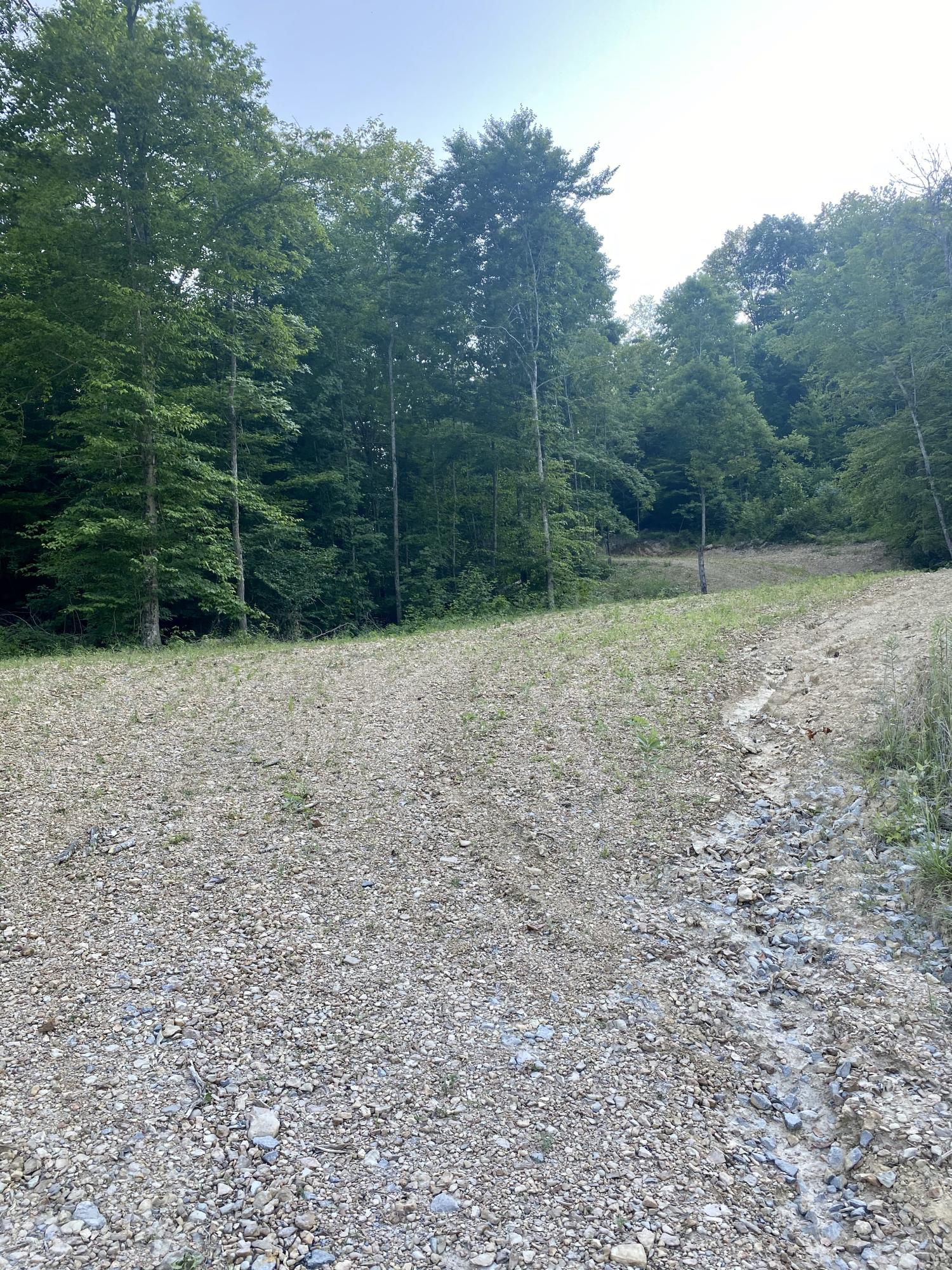 3000 Sloan Fork Road Windsor, KY 42565 - Photo 13 of 15 IMG_0622