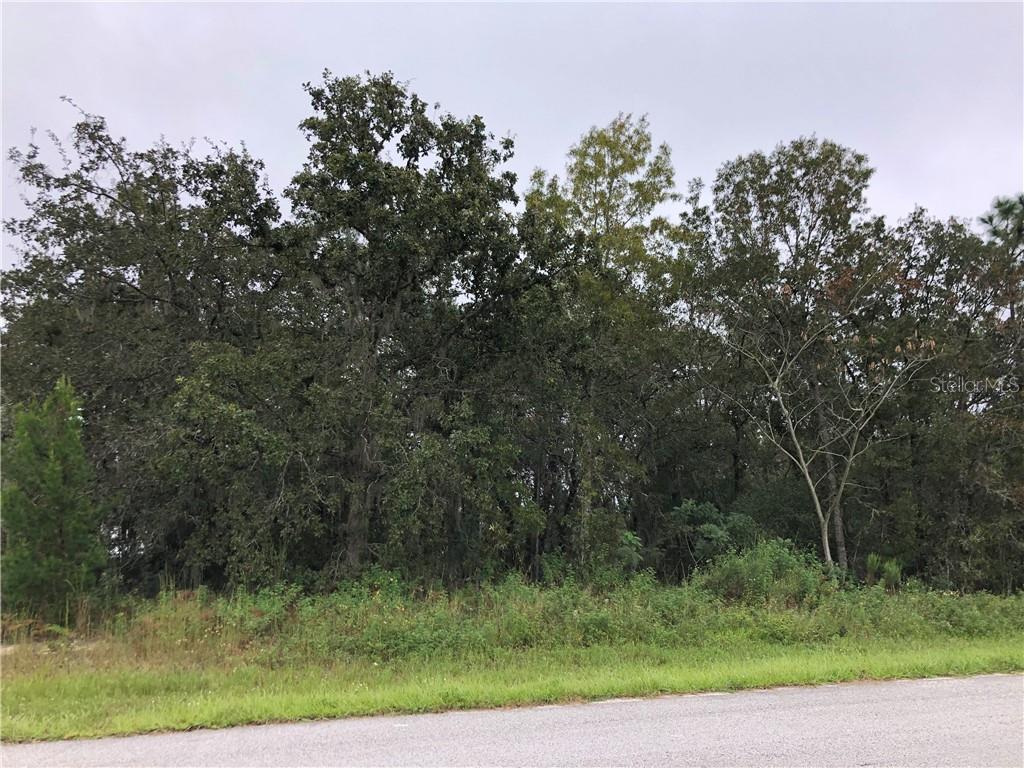 Tbd Southwest Tbd Sw 115th Loop Ocala, FL 34476 - Photo 1 of 1