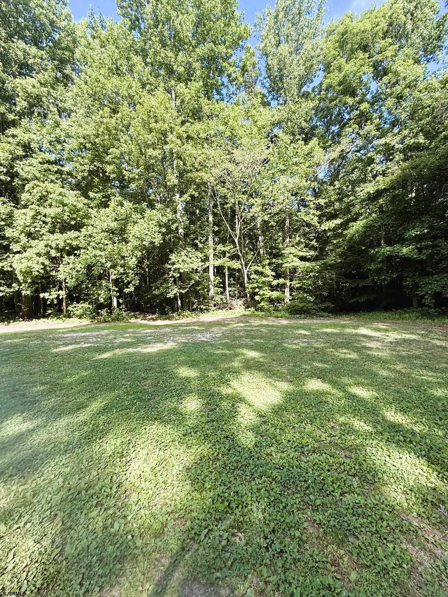 358 Buckhorn Road Bridgeton, NJ 08302 - Photo 5 of 45