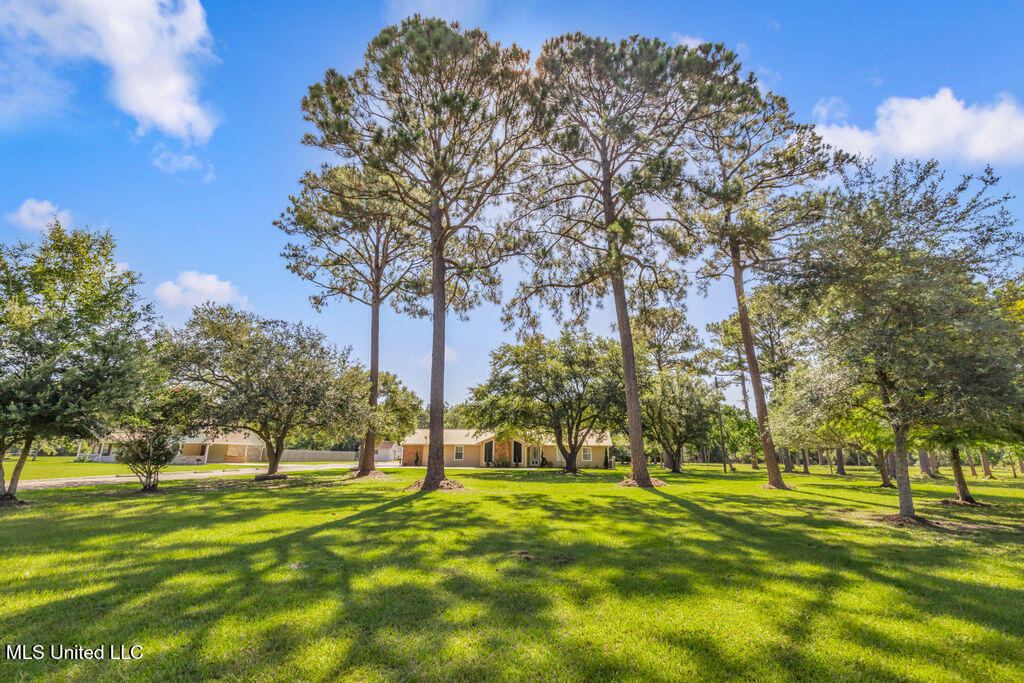 2512 Old Shell Landing Road Ocean Springs, MS 39564 - Photo 28 of 55 2512OldShellLanding-1