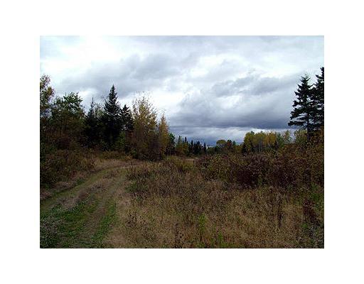 Lot 49 Ludlow Road Houlton, ME 04730 - Photo 12 of 20 Land.