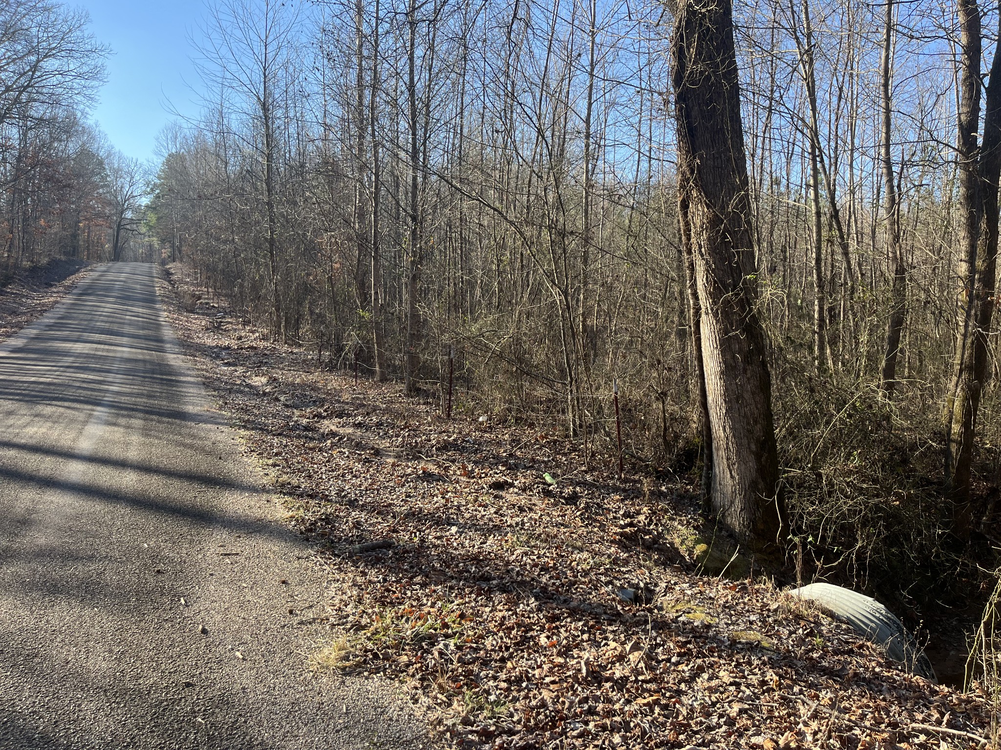 0 Vires Road Finger, TN 38334 - Photo 54 of 57