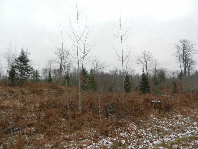 30-acres Blue Lake Road Minocqua, WI 54548 - Photo 5 of 5 Gallery Image 5