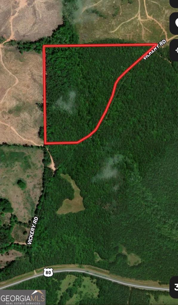 0 Carl Mathis Road Talbotton, GA 31827 - Photo 11 of 11 an aerial view of a golf course with a swimming pool