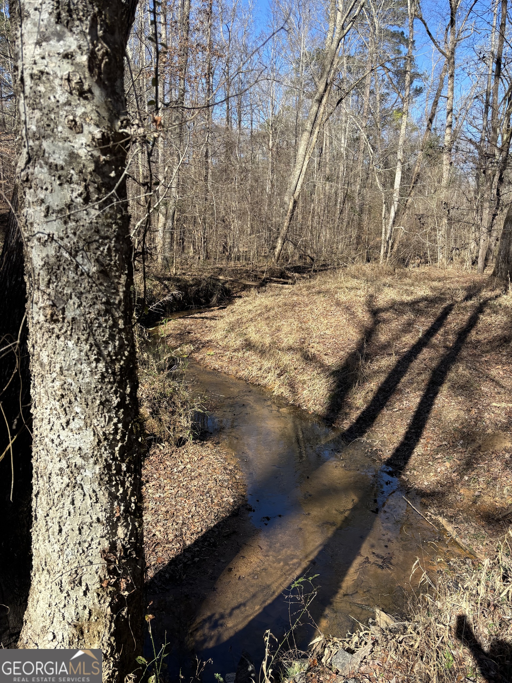 0 Carl Mathis Road Talbotton, GA 31827 - Photo 2 of 11 a view of a yard with wooden fence
