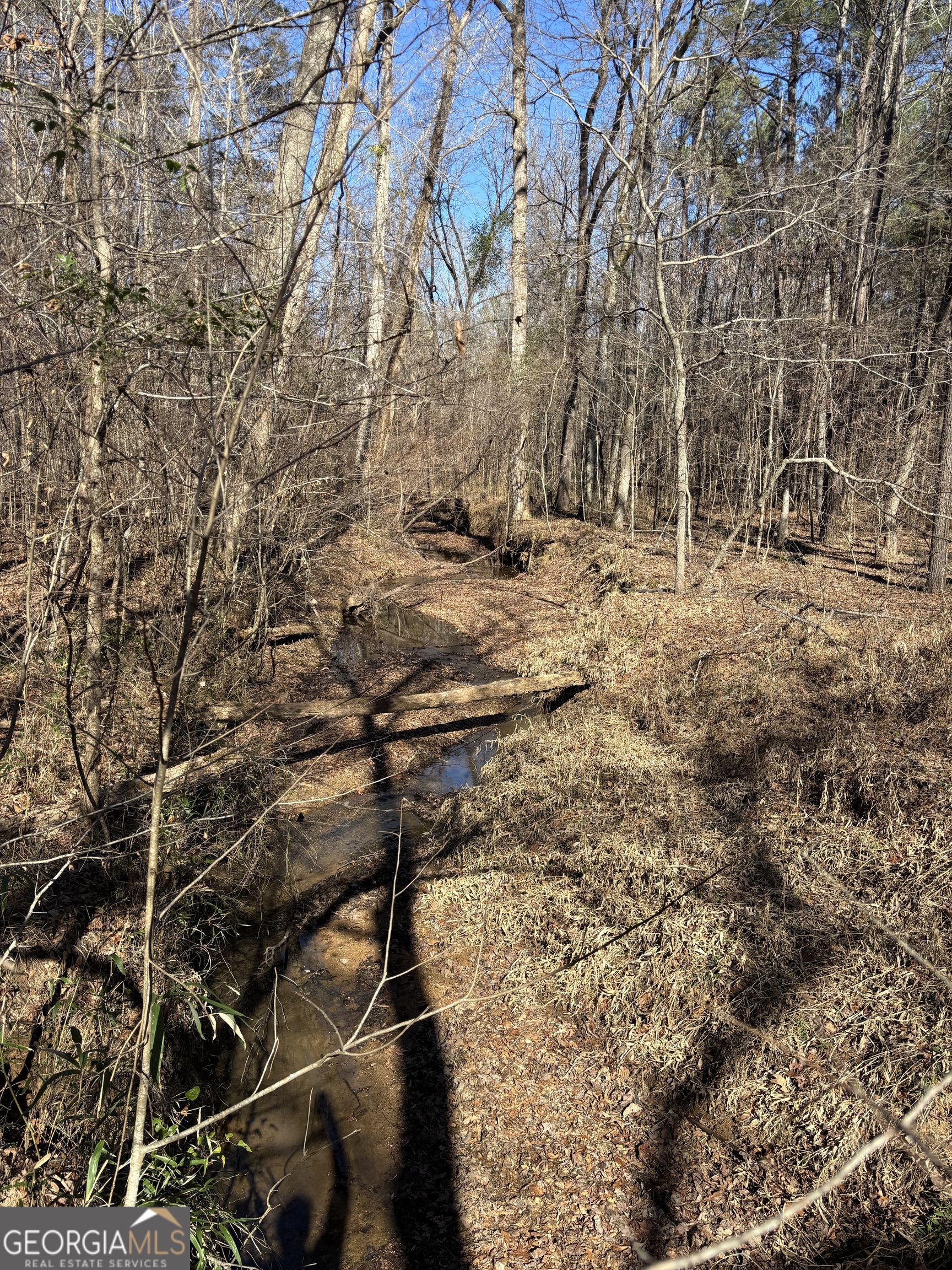 0 Carl Mathis Road Talbotton, GA 31827 - Photo 3 of 11 a view of covered with snow